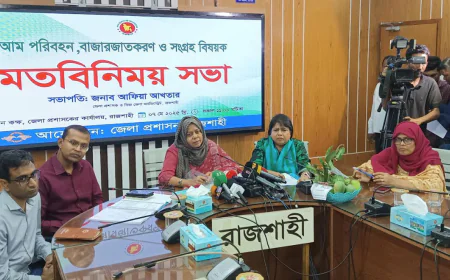 রাজশাহীতে মৌসুমের শুরু, ১৫ মে থেকে আম পাড়া