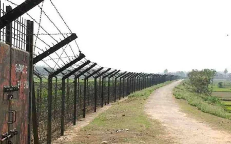 ঠাকুরগাঁও সীমান্তে সন্দেহভাজনভাবে ৪ বাংলাদেশি গ্রেপ্তার