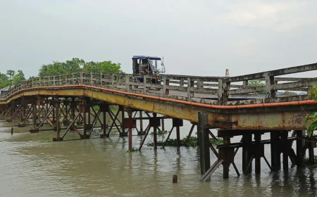 পিরোজপুরে ৭টি ঝুঁকিপূর্ণ সেতু, যাত্রীদের নিরাপত্তা নিয়ে শঙ্কা