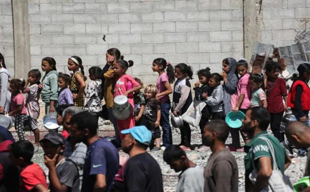 গাজায় চিকিৎসা সহায়তা পৌঁছাতে ট্রাক প্রবেশের অনুমতি চায় ডব্লিউএইচও