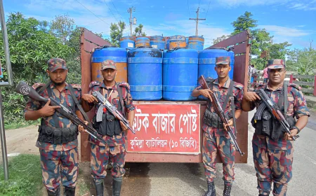 কুমিল্লায় সোয়া কোটি টাকার চিংড়ির রেনু ফেলে পালালো চোরাকারবারিরা