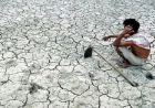 ১৭ জুন, বিশ্ব খরা ও মরুকরণ প্রতিরোধ দিবস