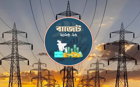 বিদ্যুতে বরাদ্দ কমেছে প্রায় ৯ হাজার কোটি টাকা