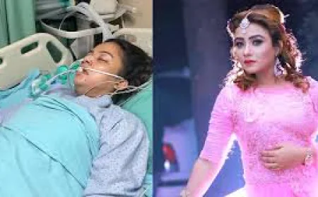 আইসিউতে অভিনেত্রী তানিন সুবহা