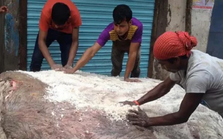 চট্টগ্রামে সংরক্ষণ করা হয়েছে ৭ লাখ ৭৪ হাজার চামড়া