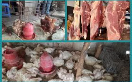 চাহিদা কম, তবুও চড়া মাংসের দাম