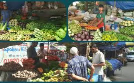 সবজির দাম কিছুটা কম, বাজারে নেই ক্রেতা