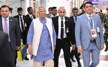 দেশে ফিরেছেন প্রধান উপদেষ্টা