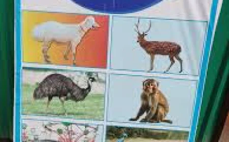 পার্বতীপুর বিনোদন স্পর্টগুলো তাপদাহে ভ্রমন পিপাষূ সমাগম কম