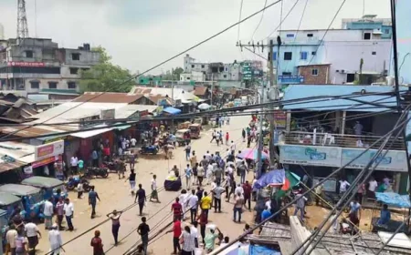 কালিয়াকৈরে বিএনপির কমিটি নিয়ে রণক্ষেত্র, ককটেল বিস্ফোরণ, ধাওয়া পাল্টা ধাওয়া, আহত ৬