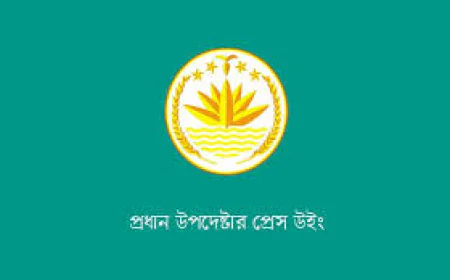 জাতীয় পতাকা পরিবর্তনের দাবি, সম্পূর্ণ ভিত্তিহীন : প্রেস উইং