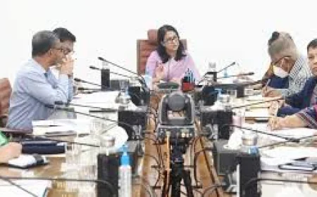 সবাই মিলে সুন্দরবনকে বাঁচাতে হবে : পরিবেশ উপদেষ্টা