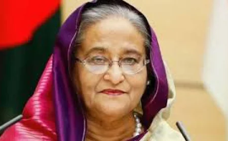 শেখ হাসিনার পক্ষে রাষ্ট্র নিযুক্ত আইনজীবী দিয়েছেন ট্র্যাইব্যুনাল