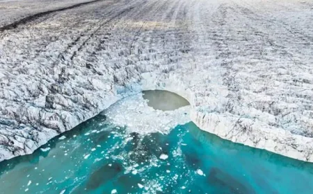 বরফাবৃত পৃথিবীতে ছোট ছোট জলাশয়েই বেঁচে ছিল প্রাণ: নতুন গবেষণা