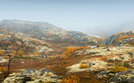 আর্কটিকে জলবায়ু পরিবর্তনের প্রভাবে বাড়ছে পিটল্যান্ড, কার্বন শোষণে সাময়িক আশা