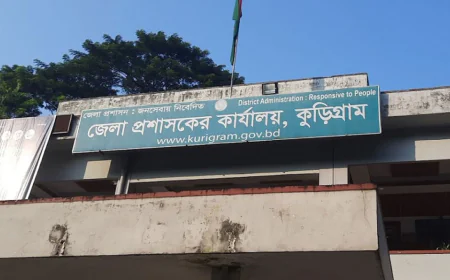 ডিসির সামনেই সাংবাদিককে মারতে গেলেন বিএনপি নেতা!