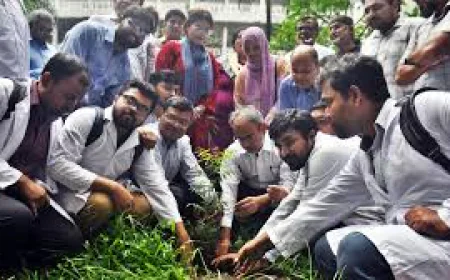ডা. জুবাইদা রহমানের জন্মদিনে ঢামেক প্রাঙ্গণে বৃক্ষরোপণ