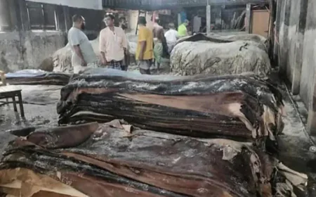 চট্টগ্রামে কোরবানির লবণযুক্ত কাঁচা চামড়া বিক্রি শুরু, লাভ নিয়ে শঙ্কায় আড়তদাররা