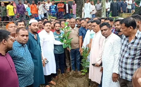 মাগুরার শ্রীপুরে কৃষকদলের উদ্যোগে বৃক্ষরোপণ