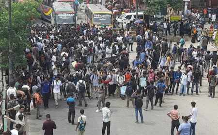 নতুন বাজারে সড়ক অবরোধ করেছে শিক্ষার্থীরা