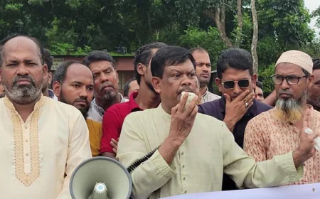 শায়েস্তাবাদের ভাঙন রোধে ব্যবস্থা গ্রহণের দাবি নাসের রহমাতুল্লাহর