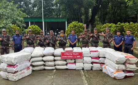 সুনামগঞ্জে টাস্কফোর্সের অভিযানে ভারতীয় পণ্য জব্দ