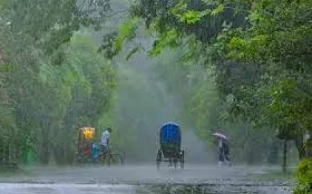 দেশের সকল বিভাগেই বৃষ্টির সম্ভাবনা