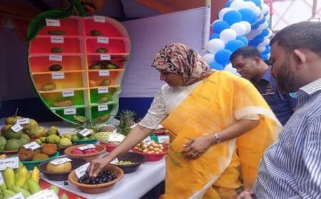 কিশোরগঞ্জে তিনদিন ব্যাপী ফল মেলা শুরু