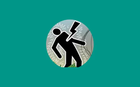 দেবীগঞ্জে বিদ্যুৎস্পৃষ্ট হয়ে ৩ বছরের শিশুর মৃত্যু