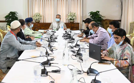 দেশের সকল সরকারি প্রতিষ্ঠানের ভবনের ছাদে সোলার প্যানেল বসানোর নির্দেশ