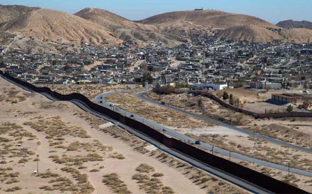 মেক্সিকোর শ্মশানে ৩৮১টি মৃতদেহের সন্ধান