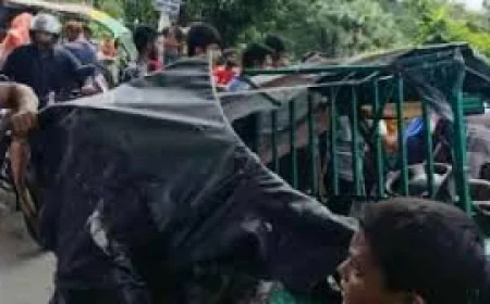 খুলনায় ট্রাকের ধাক্কায় ইজিবাইকের ২ যাত্রী নিহত