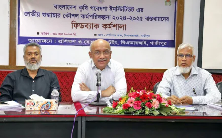 বারিতে জাতীয় শুদ্ধাচার কৌশল শীর্ষক কর্মশালা