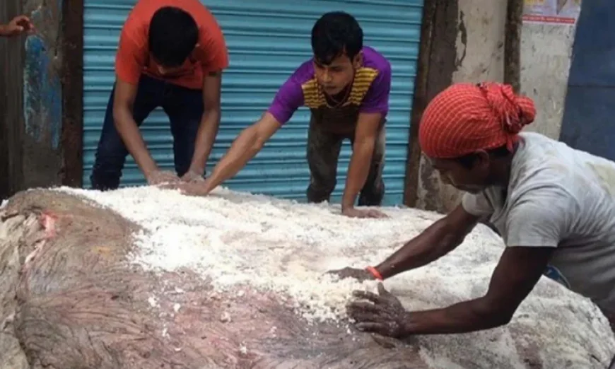 চট্টগ্রামে সংরক্ষণ করা হয়েছে ৭ লাখ ৭৪ হাজার চামড়া