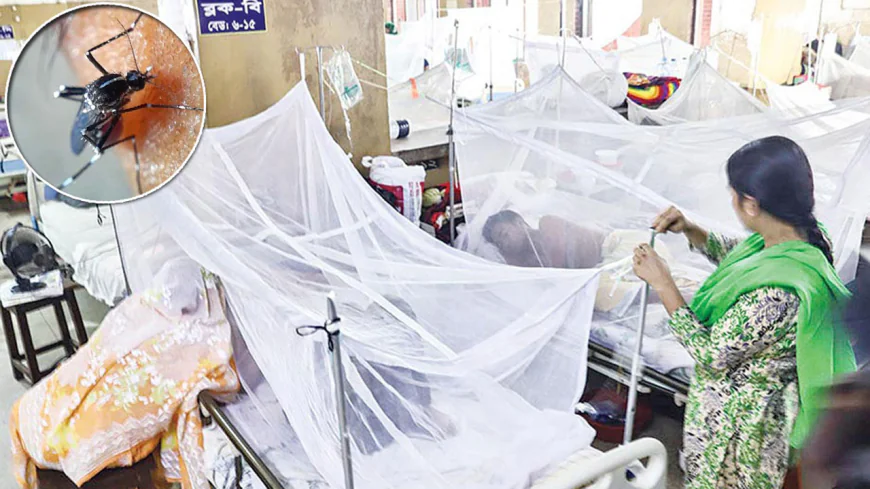 ডেঙ্গু : নিয়ন্ত্রণের বাইরে দুই সিটির ১৩ ওয়ার্ড