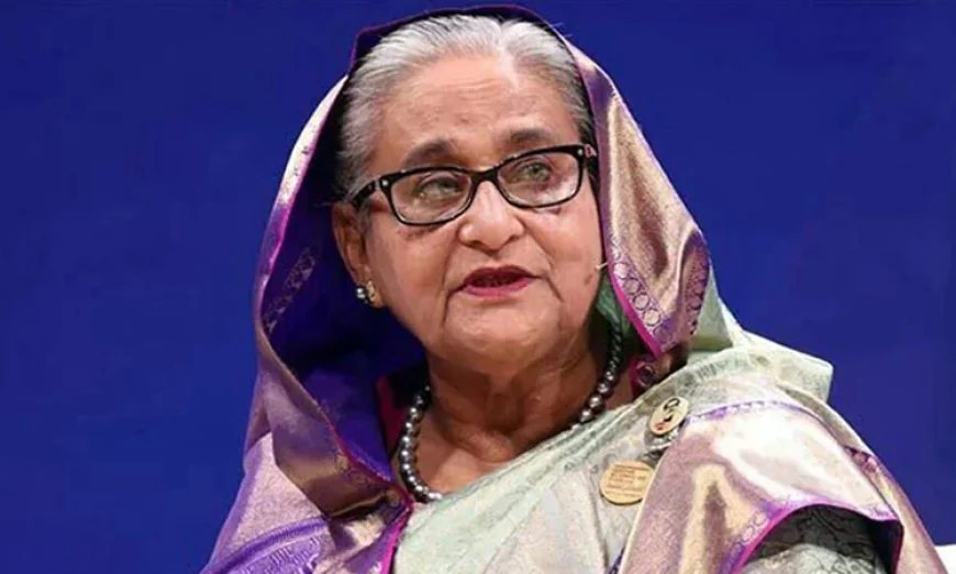 শেখ হাসিনার আদালত অবমাননার অভিযোগের শুনানিতে অ্যামিকাস কিউরি নিয়োগ