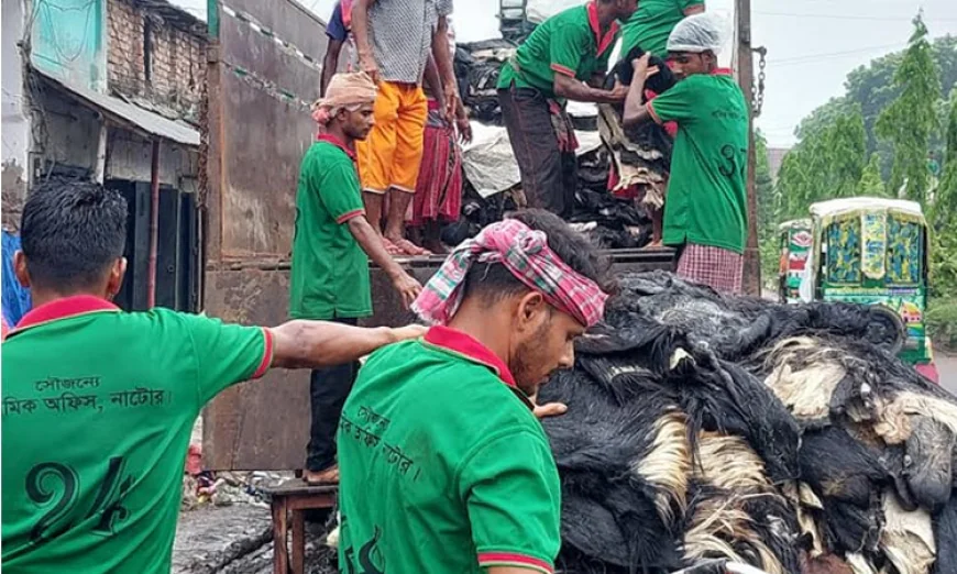 নাটোরে চামড়ার আড়তগুলোতে কেনা-বেচা জমে উঠেছে