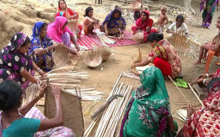 কুমিল্লার বাঁশ ও  বেতশিল্প টিকিয়ে রাখতে প্রয়োজন সরকারি পৃষ্ঠপোষকতা
