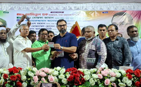 বিএনপি কখনো চাঁদাবাজি ও দখলদারত্বকে প্রশ্রয় দেয় না: আমিনুল হক