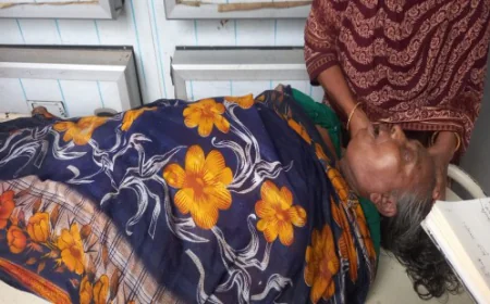 ঝিনাইদহে পিকআপের ধাক্কায় ইজিবাইক যাত্রী নিহত।