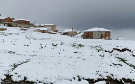 তুরস্কের উত্তর-পূর্বাঞ্চলে তুষারপাত, অন্যদিকে দাবানলে পুড়ছে দক্ষিণাঞ্চল