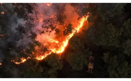 ভয়াবহ দাবানলের কারণে বাসিন্দাদের সরিয়ে নিয়েছে সিরিয়ার কর্তৃপক্ষ