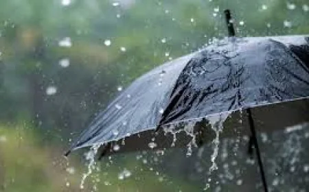 দেশের সকল বিভাগেই বৃষ্টির সম্ভাবনা