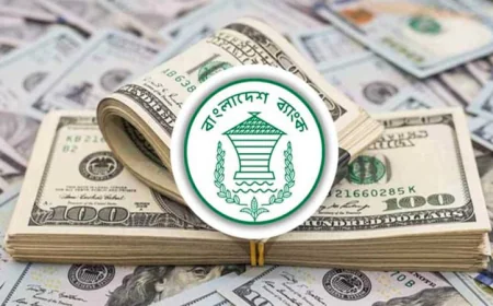 রেকর্ড রেমিট্যান্স প্রবাহে বৈদেশিক মুদ্রার রিজার্ভ বৃদ্ধি পেয়েছে