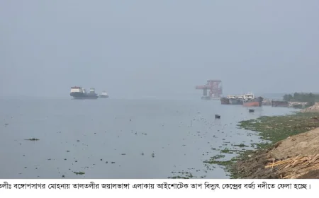 ইলিশের দেখা নেই পায়রা নদীতে , জেলেরা হতাস