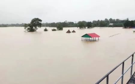 বন্যা ও অতিবৃষ্টি: ২১ জেলায় ৭২০৭৬ হেক্টর ফসলি জমি তলিয়ে গেছে