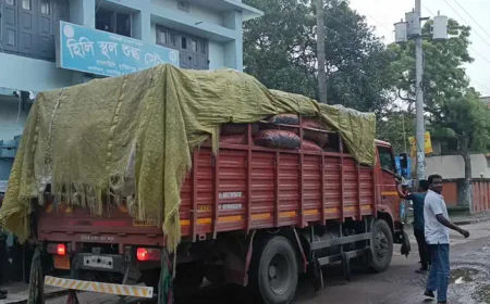 হিলি স্থলবন্দর দিয়ে ভারত থেকে আবারও কাঁচা মরিচ আমদানি শুরু