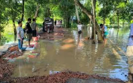 ফেনীতে বন্যা পরিস্থিতির উন্নতি, ভেসে উঠছে ক্ষতচিহ্ন