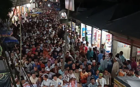 ব্যবসায়ী সোহাগ হত্যার প্রতিবাদে বোরহানউদ্দিনে বিএনপির বিক্ষোভ