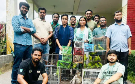 রাজধানীর মিরপুর থেকে ৫০টি দেশীয় বন্যপ্রাণী উদ্ধার